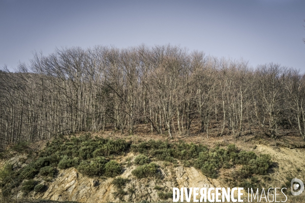 Le Mont Aigoual et son Observatoire