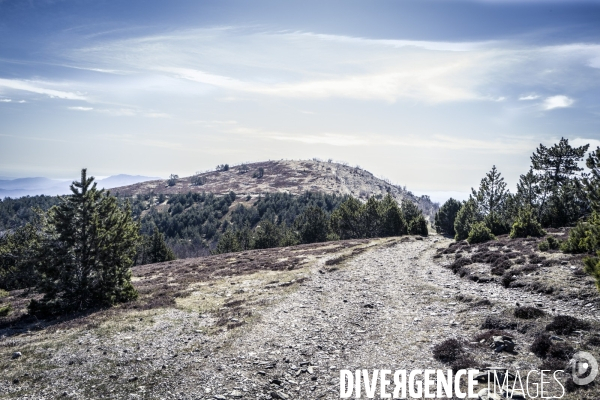 Le Mont Aigoual et son Observatoire