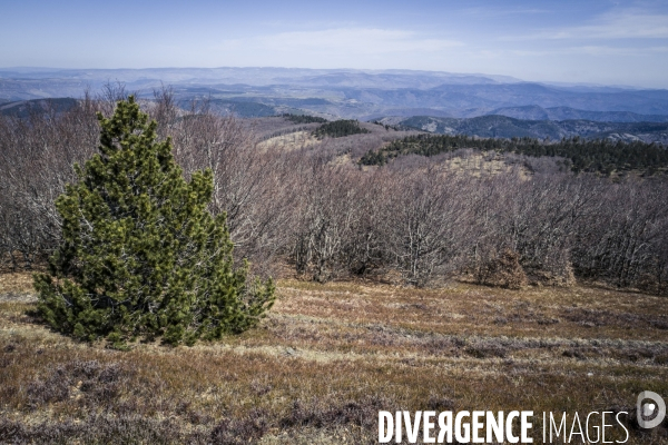 Le Mont Aigoual et son Observatoire