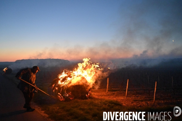 Protection de la vigne contre le gel par enfumage en Touraine sur l appelation Vouvray