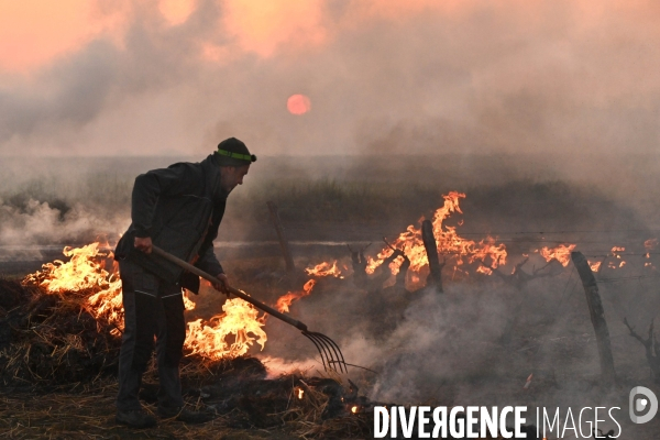 Protection de la vigne contre le gel par enfumage en Touraine sur l appelation Vouvray