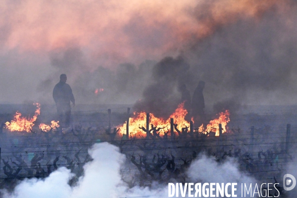 Protection de la vigne contre le gel par enfumage en Touraine sur l appelation Vouvray