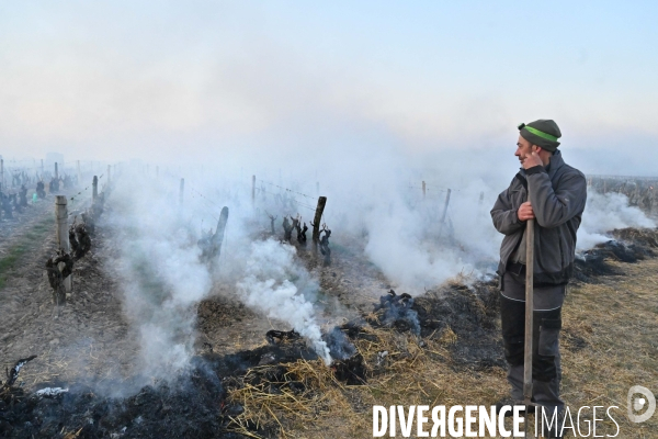 Protection de la vigne contre le gel par enfumage en Touraine sur l appelation Vouvray