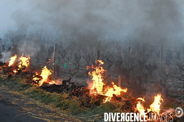 Protection de la vigne contre le gel par enfumage en Touraine sur l appelation Vouvray