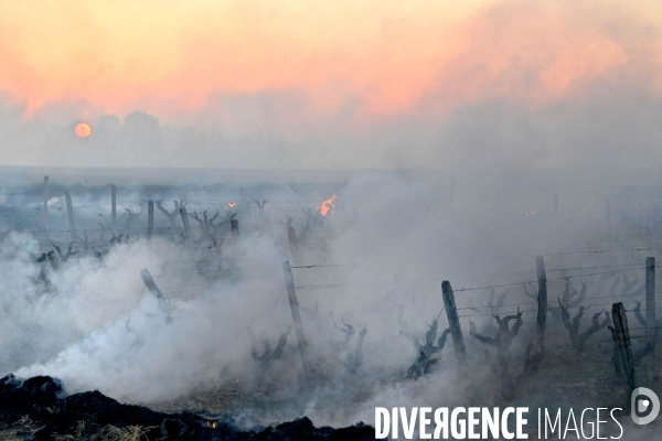 Protection de la vigne contre le gel par enfumage en Touraine sur l appelation Vouvray