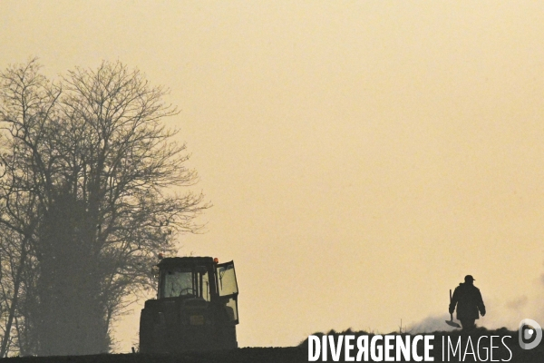 Protection de la vigne contre le gel par enfumage en Touraine sur l appelation Vouvray