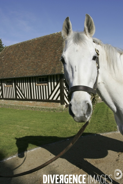 Les Haras