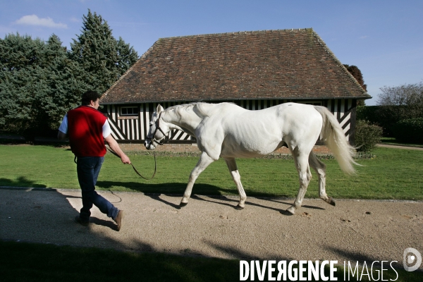 Les Haras