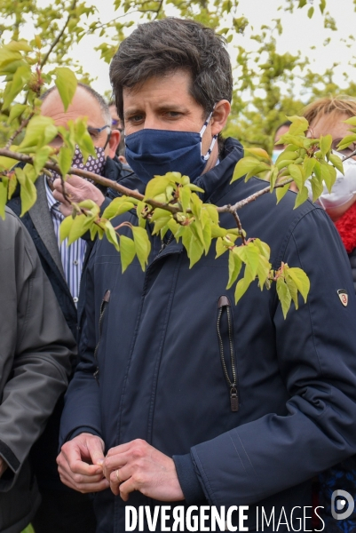 Episode de gel, Julien Denormandie à la rencontre des arboriculteurs