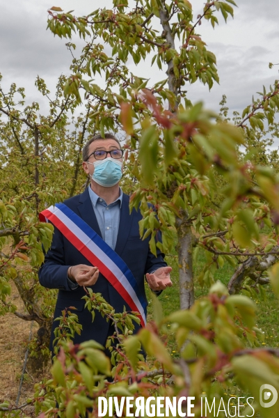 Episode de gel, Julien Denormandie à la rencontre des arboriculteurs