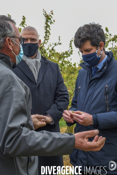 Episode de gel, Julien Denormandie à la rencontre des arboriculteurs