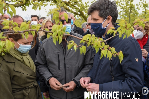 Episode de gel, Julien Denormandie à la rencontre des arboriculteurs