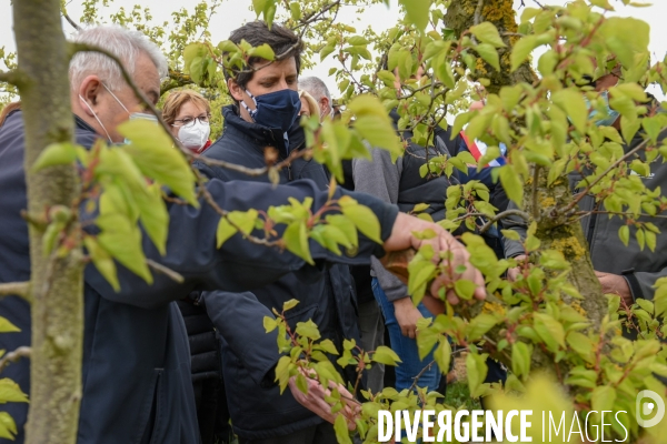 Episode de gel, Julien Denormandie à la rencontre des arboriculteurs