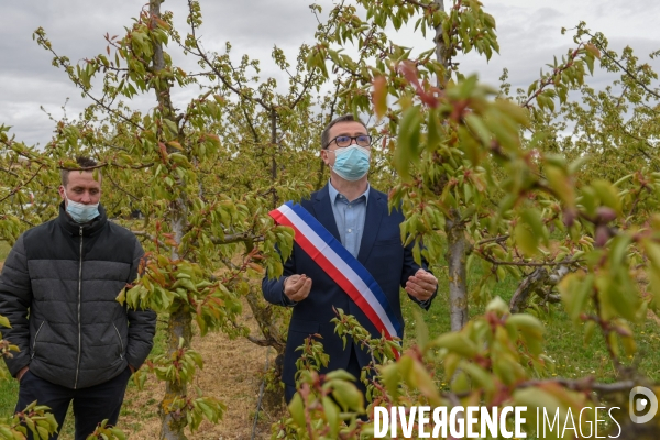 Episode de gel, Julien Denormandie à la rencontre des arboriculteurs