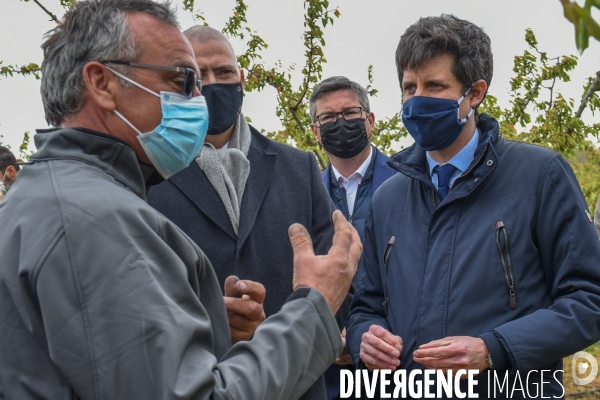 Episode de gel, Julien Denormandie à la rencontre des arboriculteurs