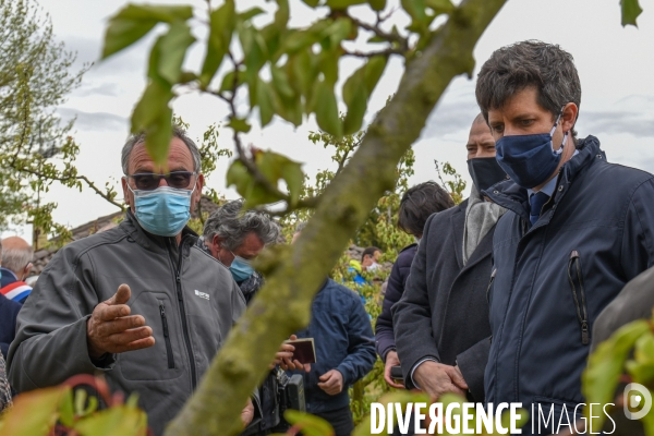 Episode de gel, Julien Denormandie à la rencontre des arboriculteurs
