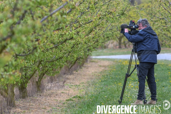 Episode de gel, Julien Denormandie à la rencontre des arboriculteurs