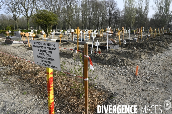 Cimetière. Division en reprise. Concessions venant à expiration. Cemetery. Division in recovery. Concessions expiring.