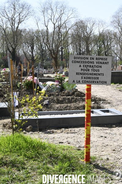 Cimetière. Division en reprise. Concessions venant à expiration. Cemetery. Division in recovery. Concessions expiring.