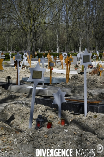 Cimetière. Division en reprise. Concessions venant à expiration. Cemetery. Division in recovery. Concessions expiring.