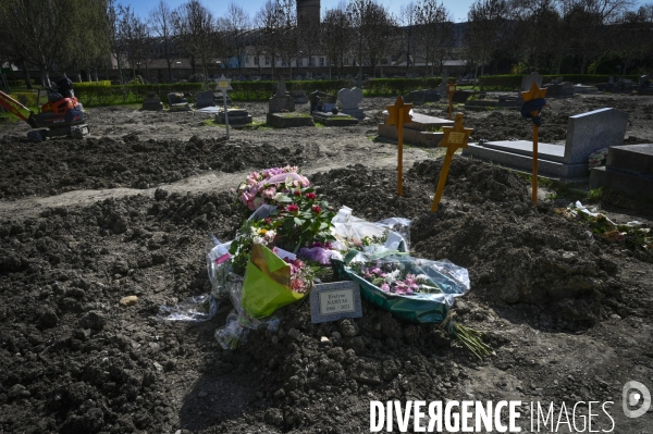 Cimetière. Division en reprise. Concessions venant à expiration. Cemetery. Division in recovery. Concessions expiring.