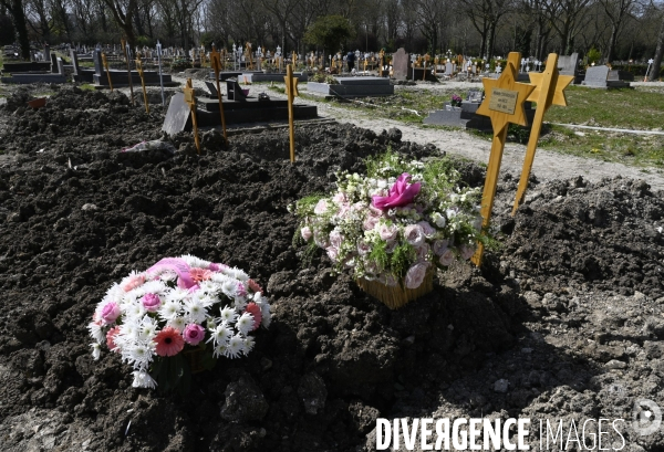 Cimetière. Division en reprise. Concessions venant à expiration. Cemetery. Division in recovery. Concessions expiring.