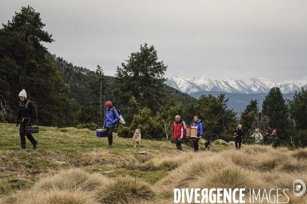 Petite Chronique d en Haut 2021