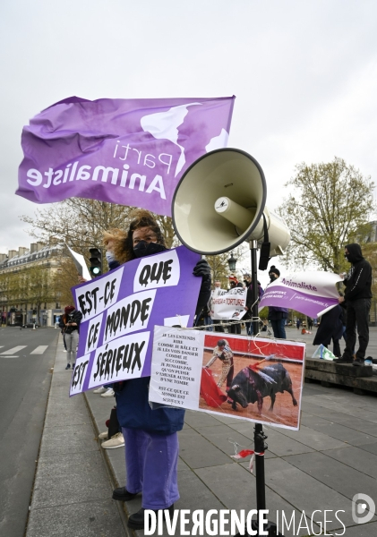 Cause animale : happening contre la CORRIDA.