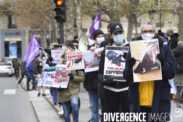 Cause animale : happening contre la CORRIDA.