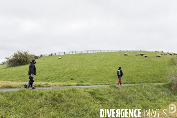 Troupeau de moutons des Bergers Urbains et de Clinamen