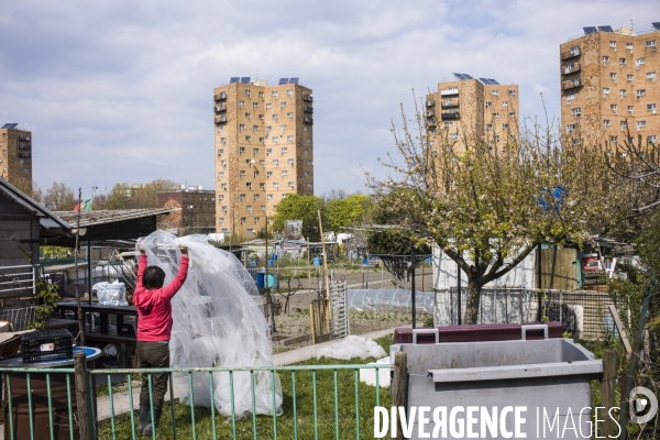 Jardins ouvriers des vertus a aubervilliers.