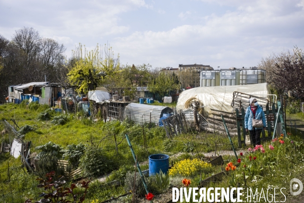 Jardins ouvriers des vertus a aubervilliers.