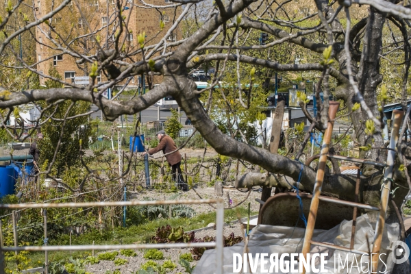 Jardins ouvriers des vertus a aubervilliers.