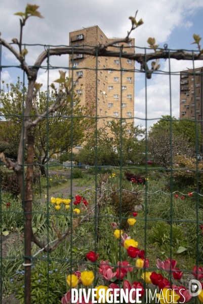 Les jardins ouvriers des vertus