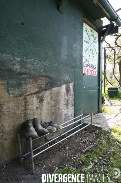 Les jardins partagés d Aubervilliers.