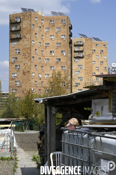 Les jardins partagés d Aubervilliers.