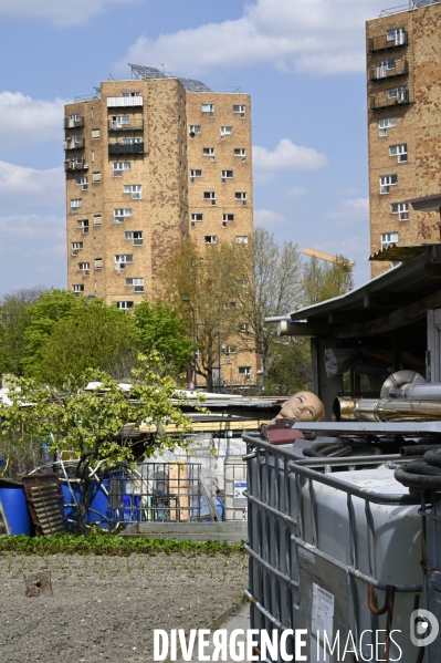 Les jardins partagés d Aubervilliers.