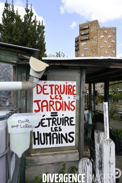 Les jardins partagés d Aubervilliers.