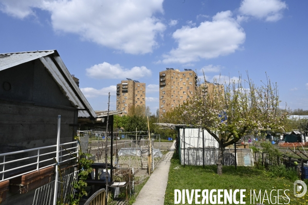 Les jardins partagés d Aubervilliers.