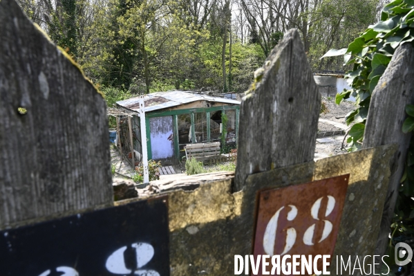 Les jardins partagés d Aubervilliers.