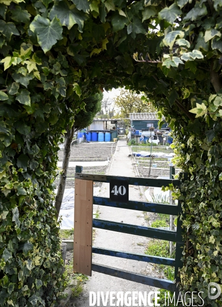 Les jardins partagés d Aubervilliers.