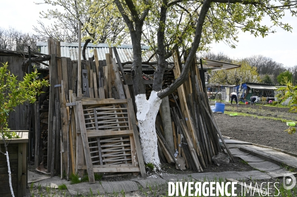 Les jardins partagés d Aubervilliers.