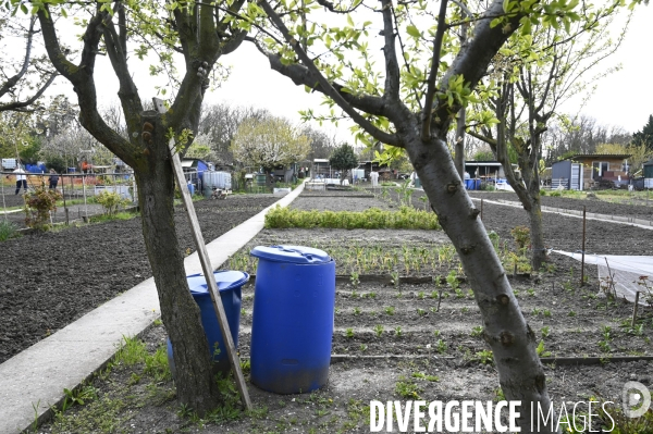 Les jardins partagés d Aubervilliers.