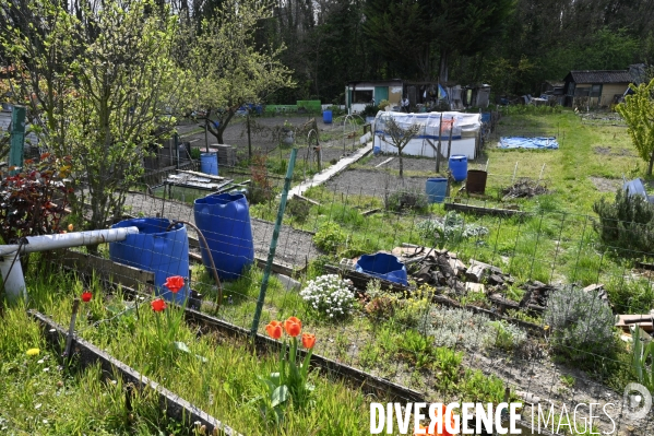 Les jardins partagés d Aubervilliers.