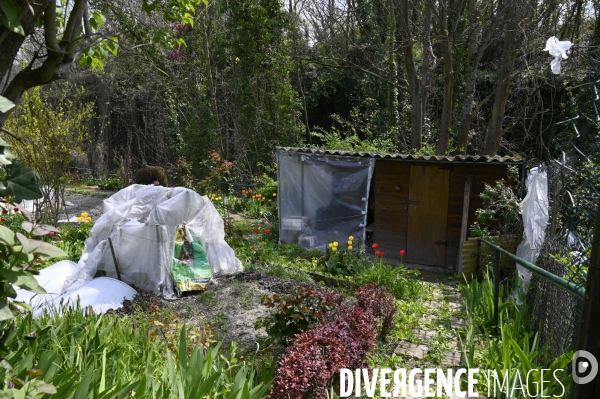 Les jardins partagés d Aubervilliers.