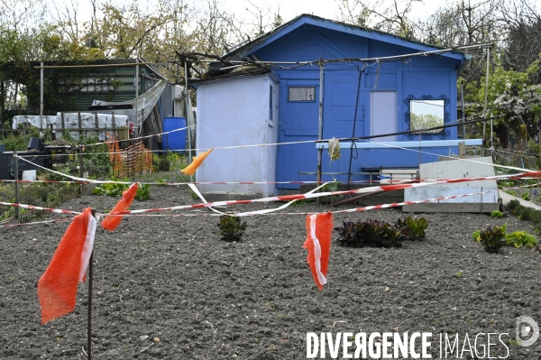 Les jardins partagés d Aubervilliers.