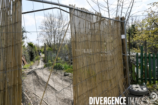 Les jardins partagés d Aubervilliers.