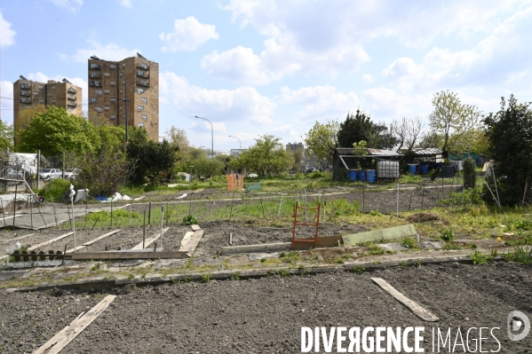 Les jardins partagés d Aubervilliers.