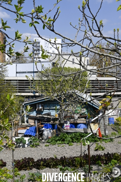 Les jardins partagés d Aubervilliers.