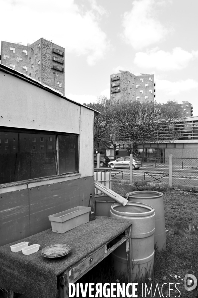 Les jardins partagés d Aubervilliers.